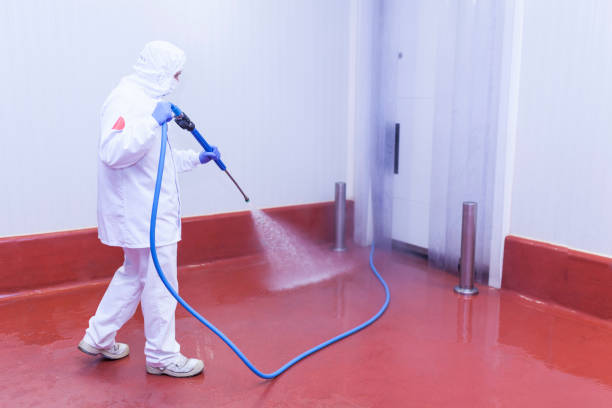 Best Building Exterior Washing  in Louisville, OH