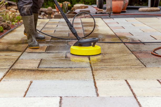 Best Animal Enclosure Cleaning  in Louisville, OH